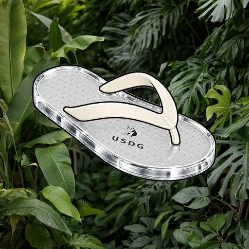 FlipFlops #1026