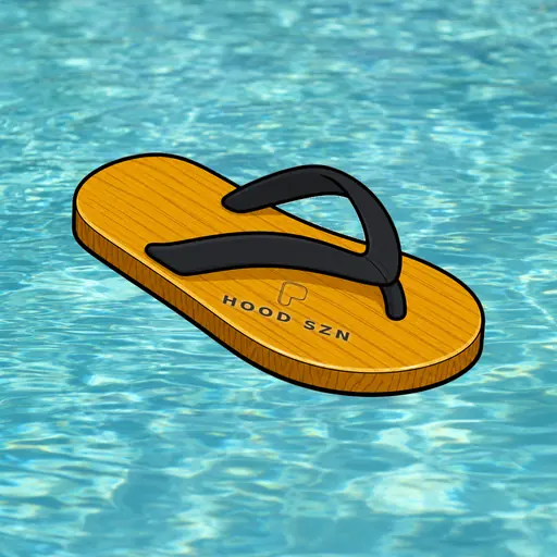 FlipFlops #1095