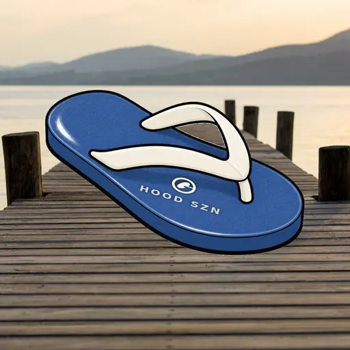 FlipFlops #1162