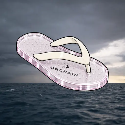 FlipFlops #1243