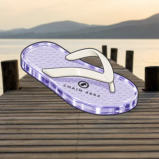 FlipFlops #1274