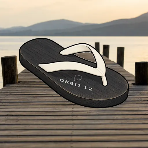 FlipFlops #1305