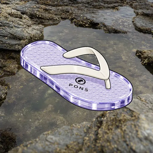 FlipFlops #1337