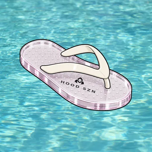 FlipFlops #1353