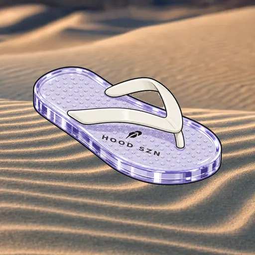 FlipFlops #1426