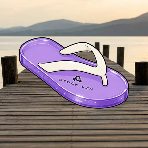 FlipFlops #1486