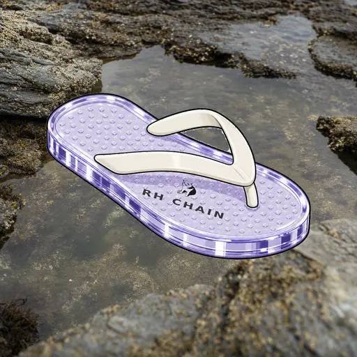 FlipFlops #1516
