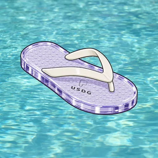 FlipFlops #1543