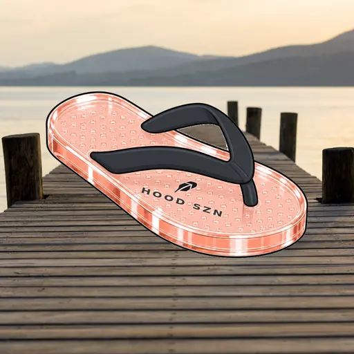FlipFlops #1699