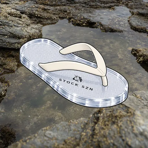 FlipFlops #1707