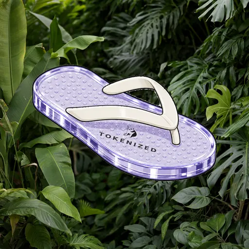 FlipFlops #1747