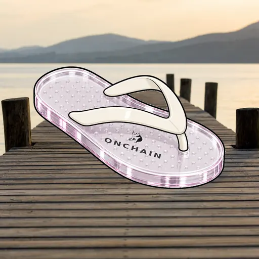 FlipFlops #1803