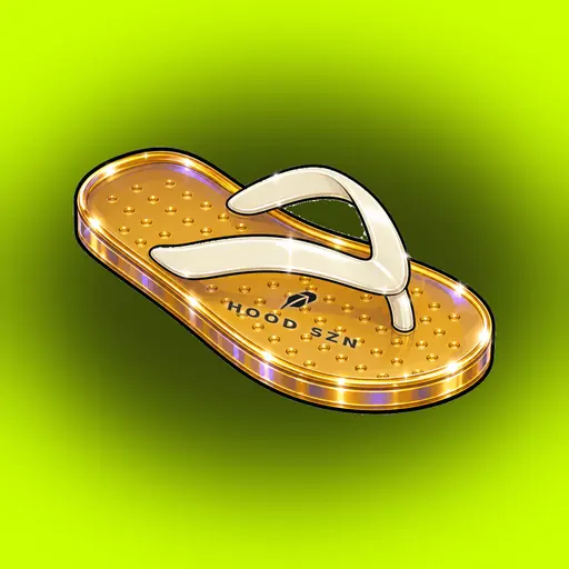 FlipFlops #1888