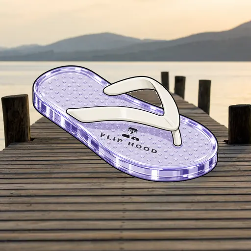 FlipFlops #190