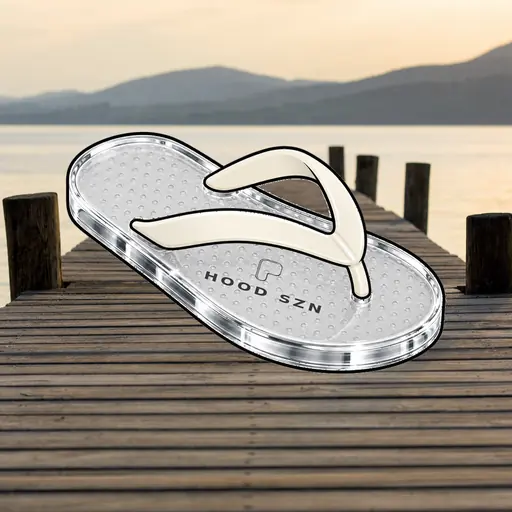 FlipFlops #192