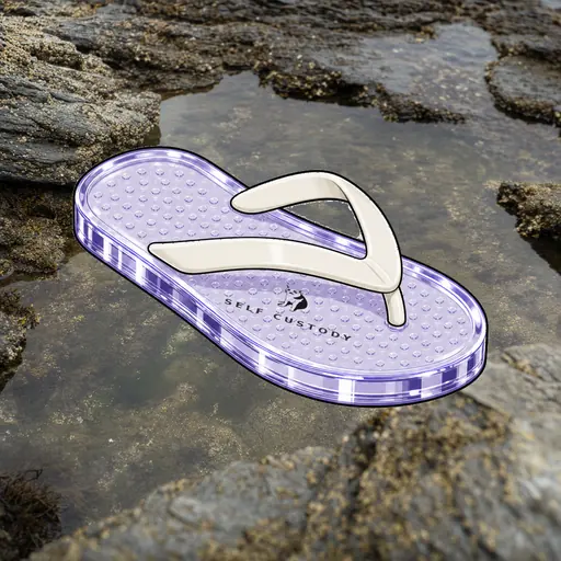 FlipFlops #284