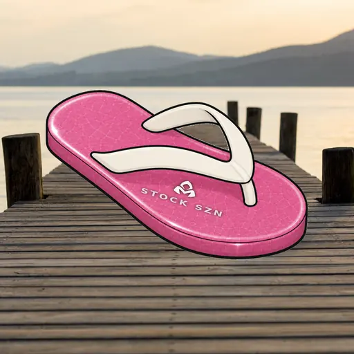 FlipFlops #324