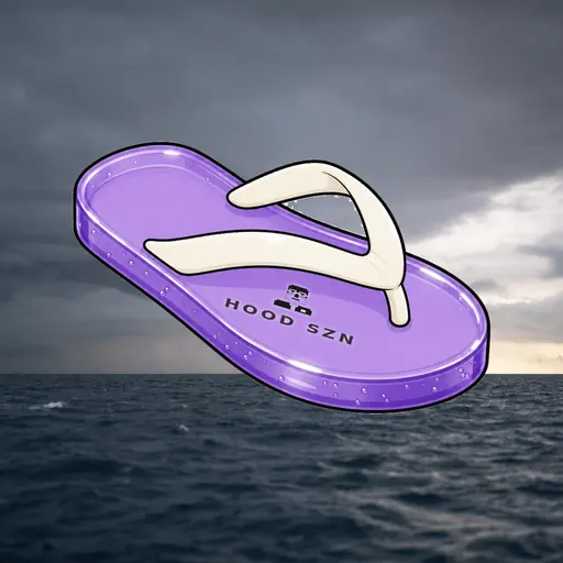 FlipFlops #337