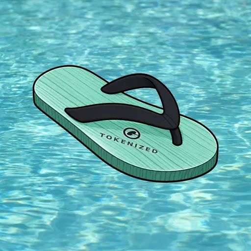 FlipFlops #343