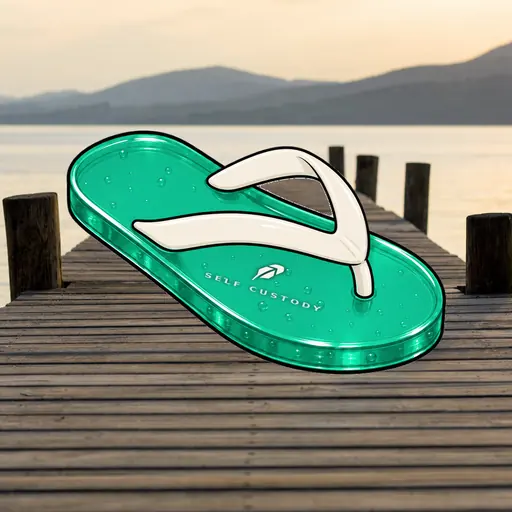 FlipFlops #61