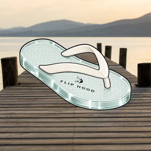 FlipFlops #802