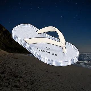 FlipFlops #1001