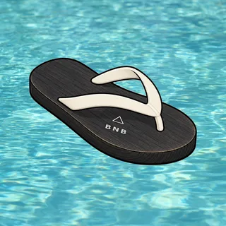 FlipFlops #1002