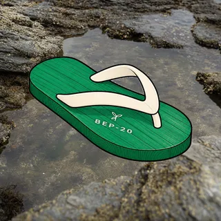 FlipFlops #1007