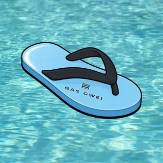 FlipFlops #101