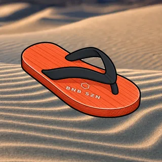 FlipFlops #1010