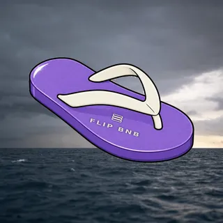 FlipFlops #1013