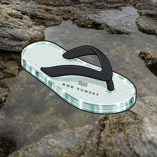 FlipFlops #102