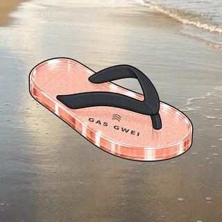 FlipFlops #1027