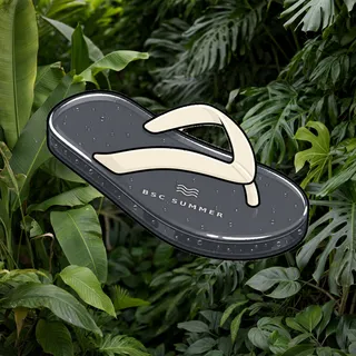 FlipFlops #1046