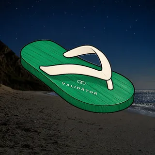 FlipFlops #1048