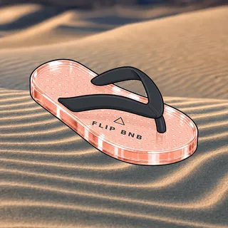FlipFlops #1050