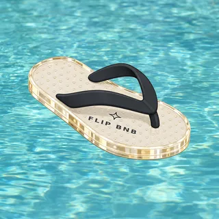 FlipFlops #1052
