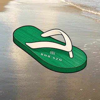 FlipFlops #1053