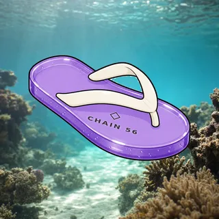 FlipFlops #1057