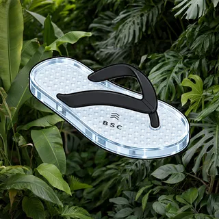 FlipFlops #1059