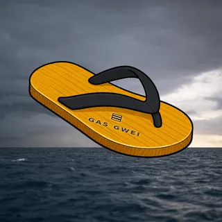 FlipFlops #1061