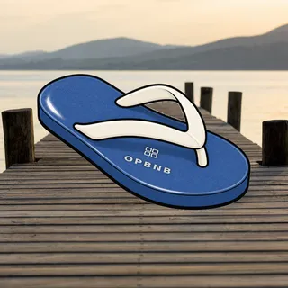 FlipFlops #1069