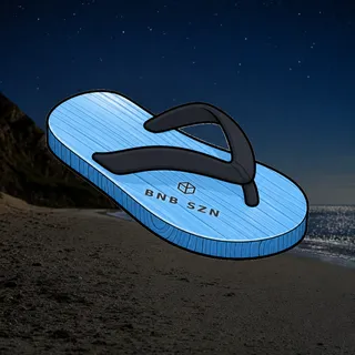 FlipFlops #107