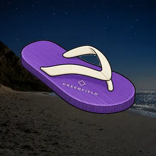 FlipFlops #1073