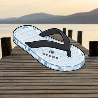 FlipFlops #1077