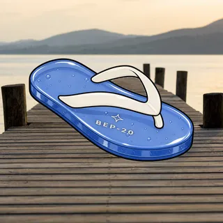 FlipFlops #108