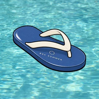 FlipFlops #1090