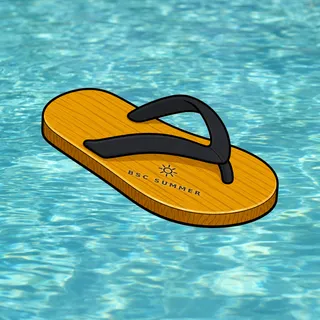 FlipFlops #1095
