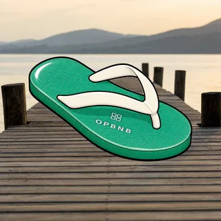 FlipFlops #1101