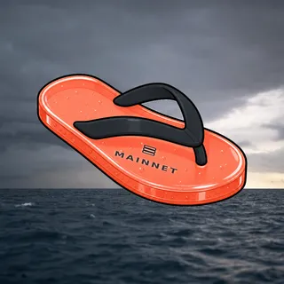 FlipFlops #1109